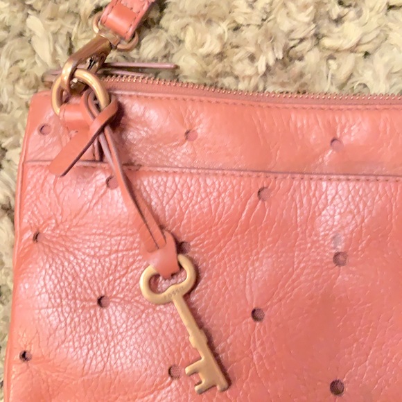 Fossils bag - Picture 4 of 4